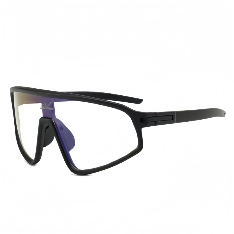 WPegasus Aurora photochromic lens