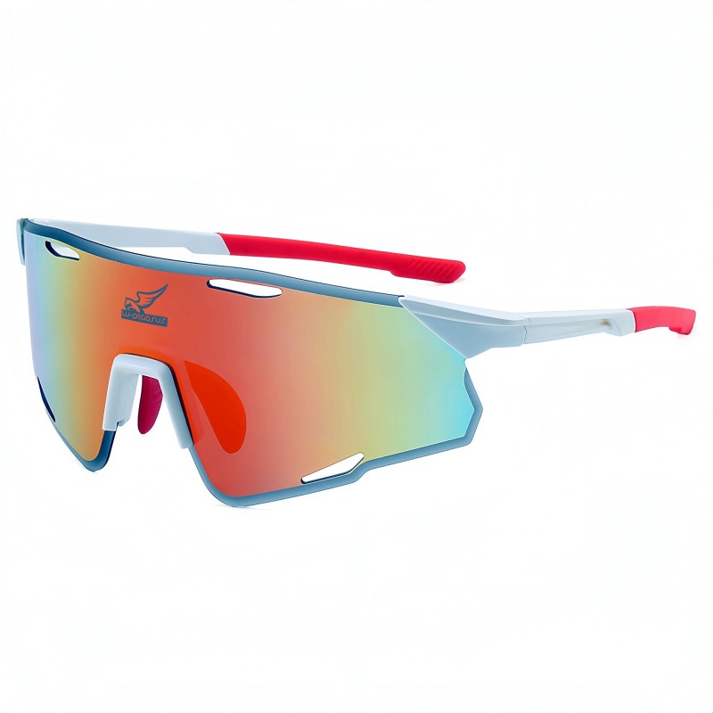 WPegasus Skyline Sunglasses