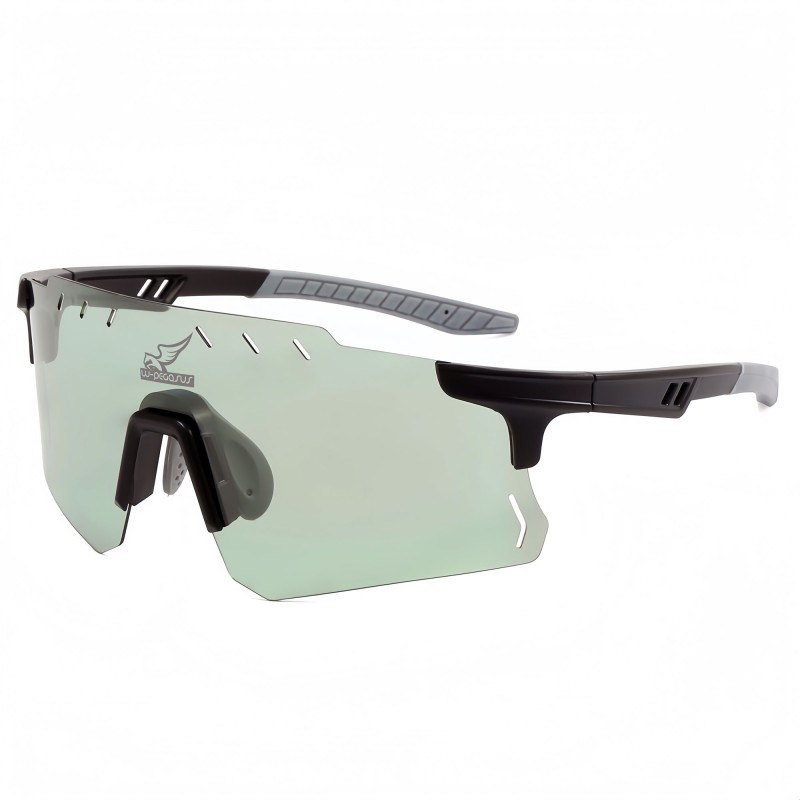 WPegasus PolariX Sunglasses